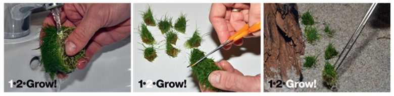 1-2-GROW! (Tissue Culture)