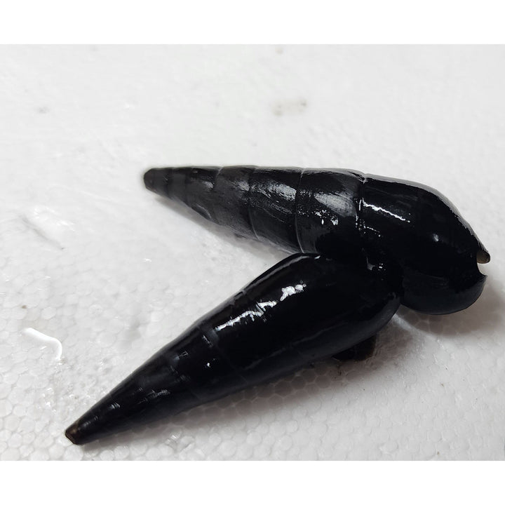 Volcano Rabbit Snail