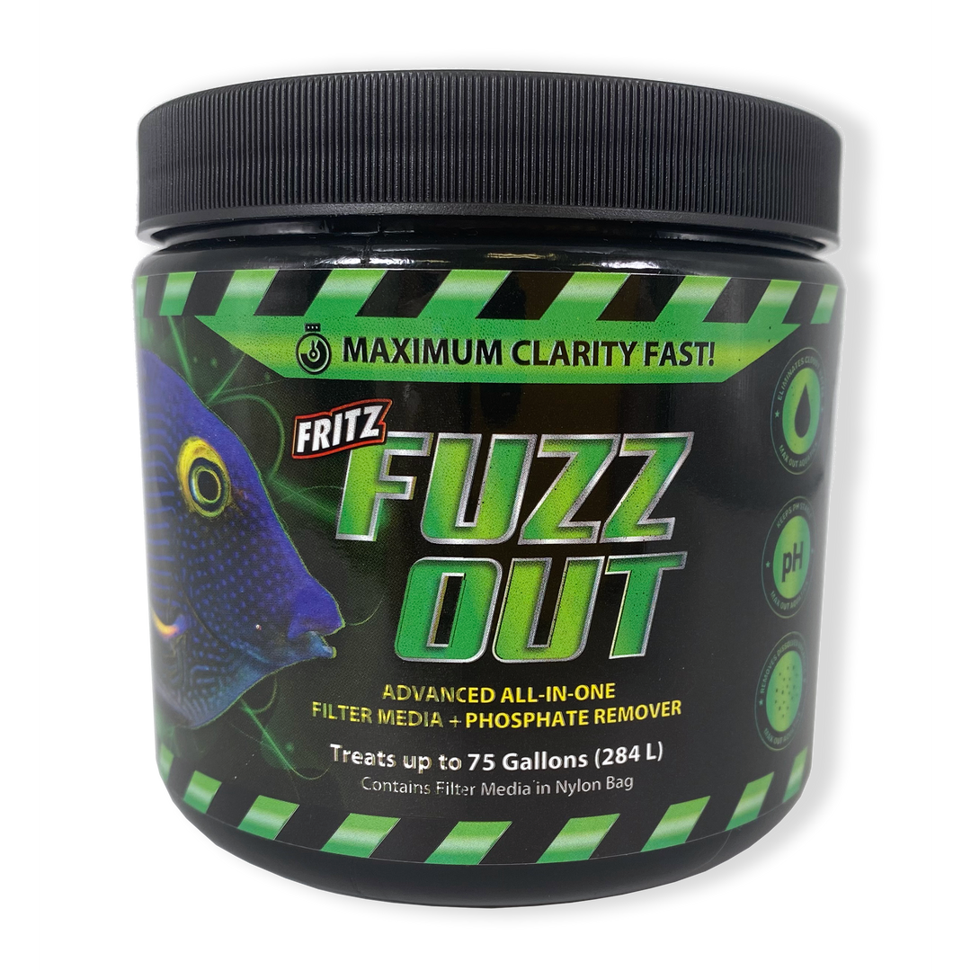 FUZZ OUT  from Fritz