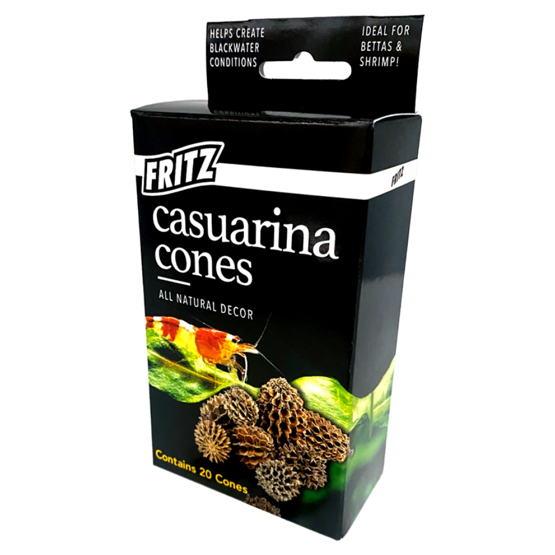 Fritz Casuarina Cones (20 Pack) – KGTropicals