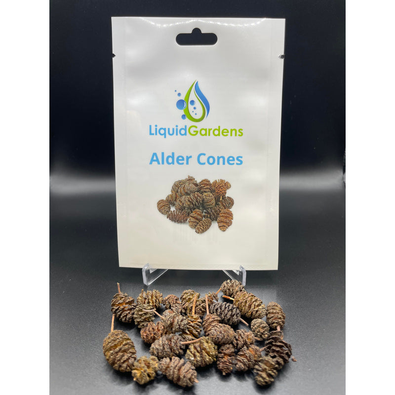 Liquid Gardens Alder Cones (25 Pack)