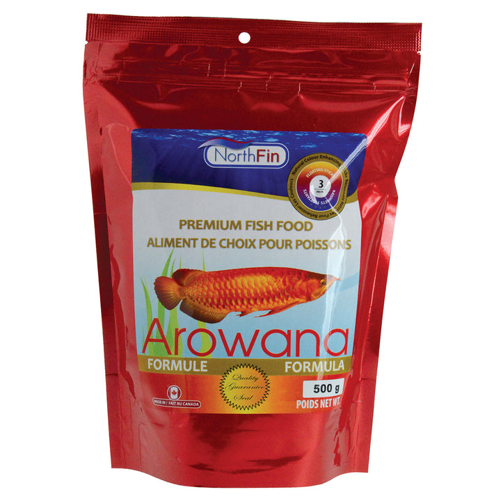 Northfin Arowana