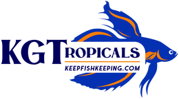 KGTropicals