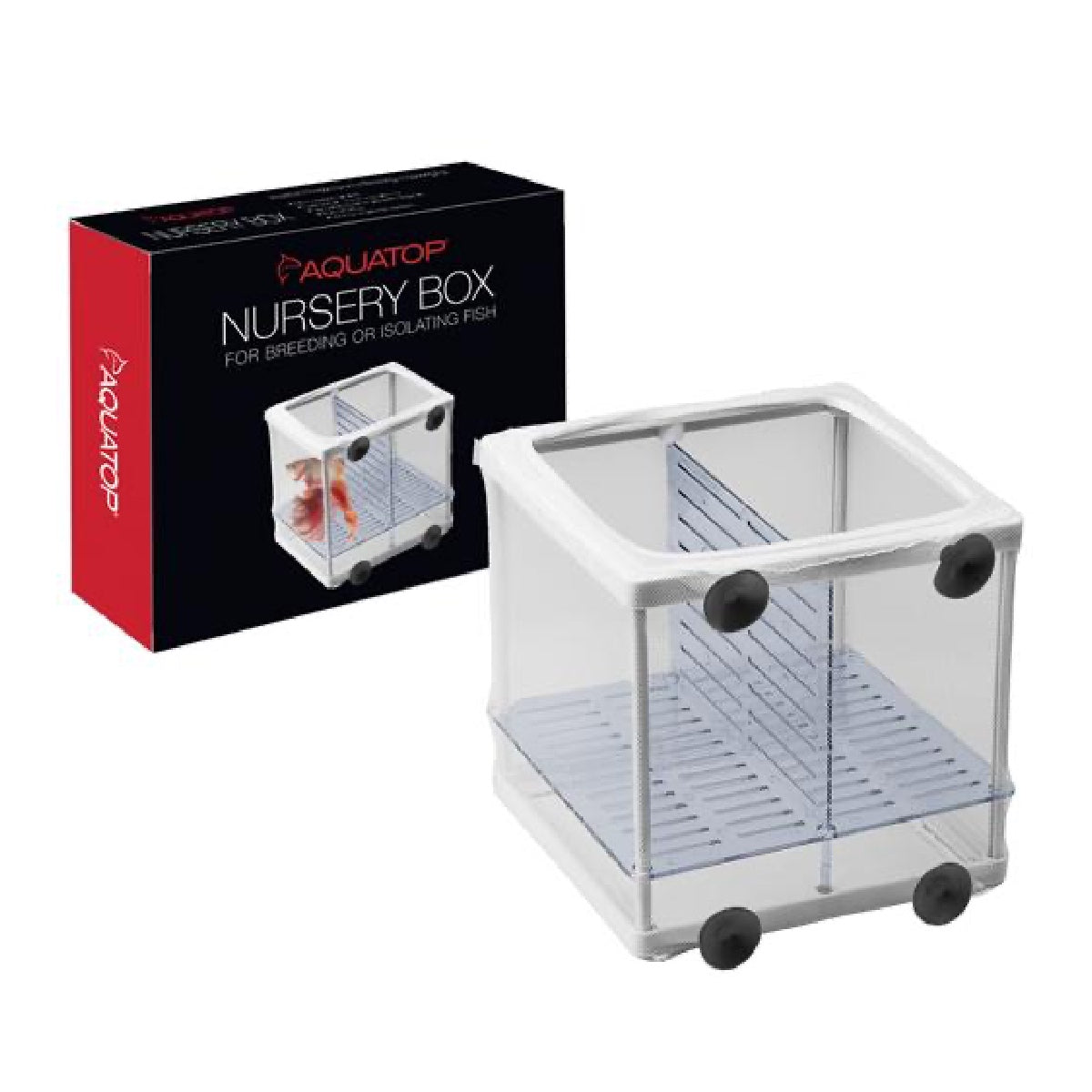 Breeder Box – KGTropicals