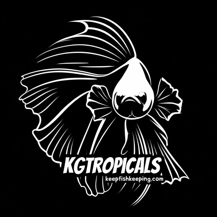 Betta T-Shirt