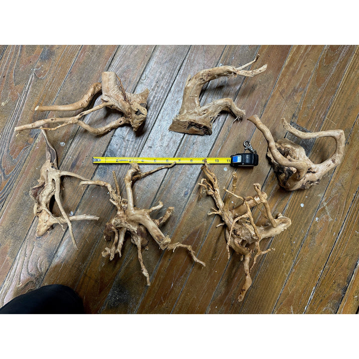 Spider Wood