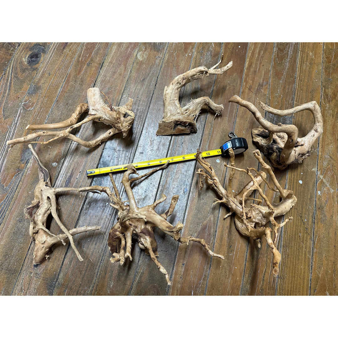 Spider Wood