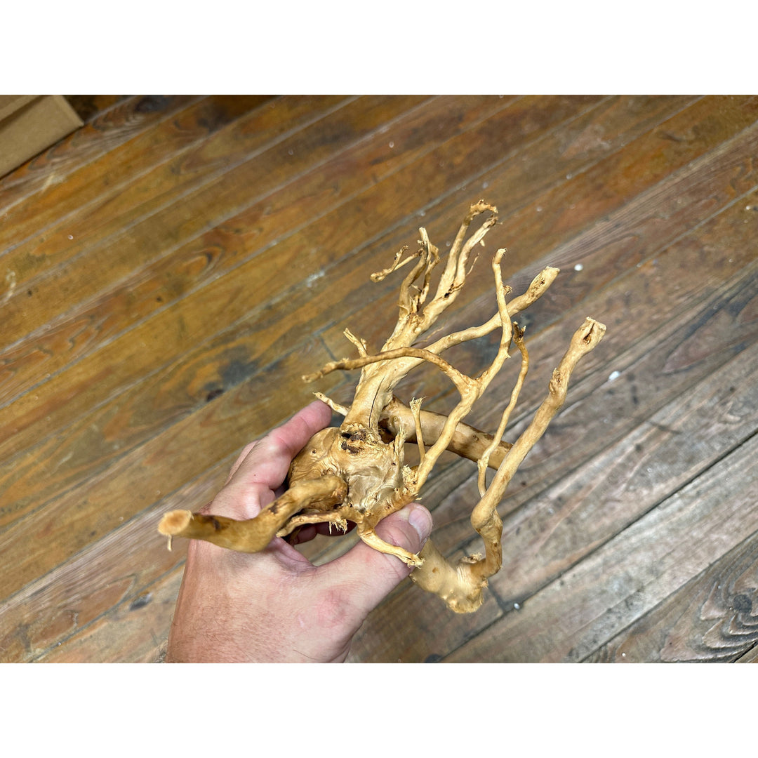 Spider Wood
