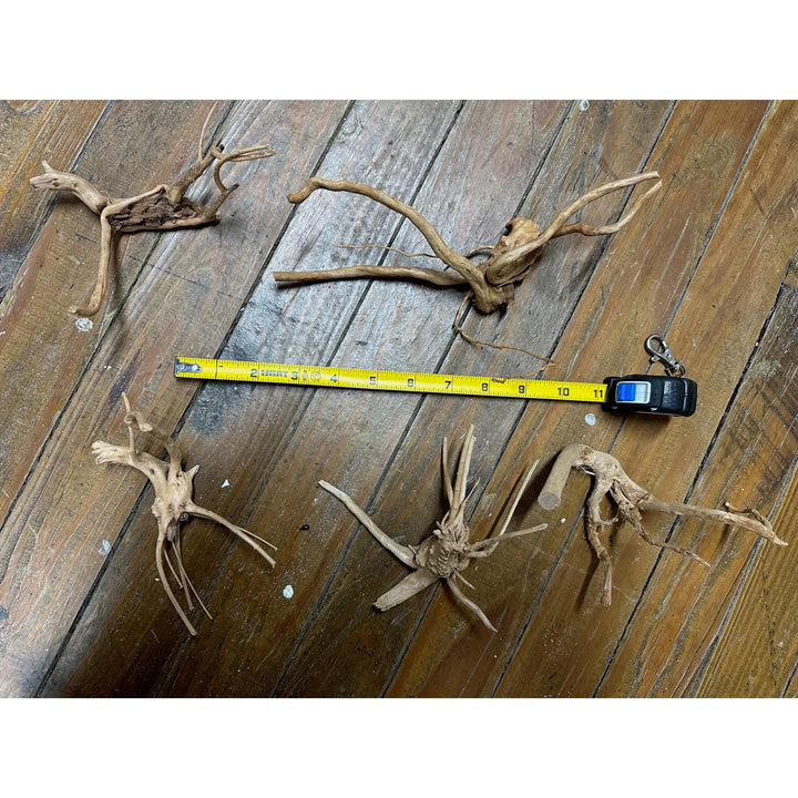Spider Wood