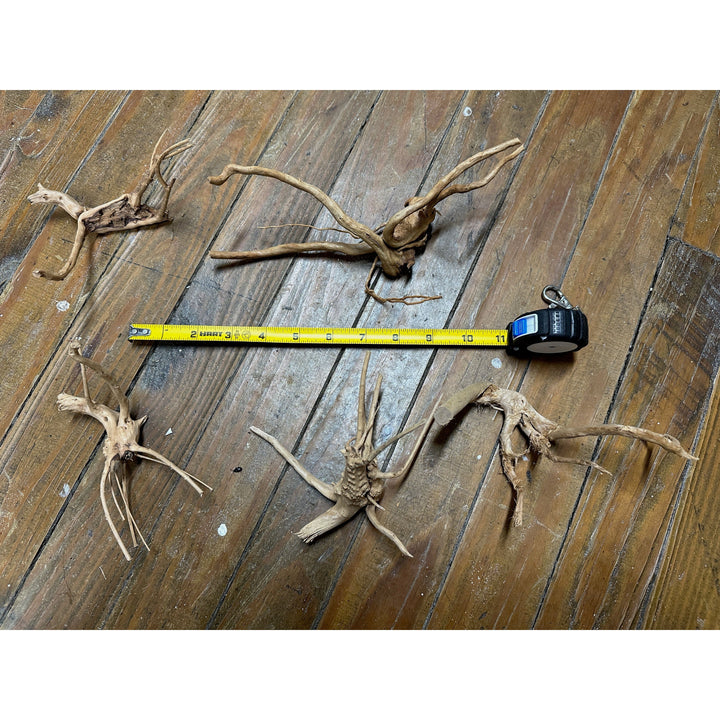 Spider Wood