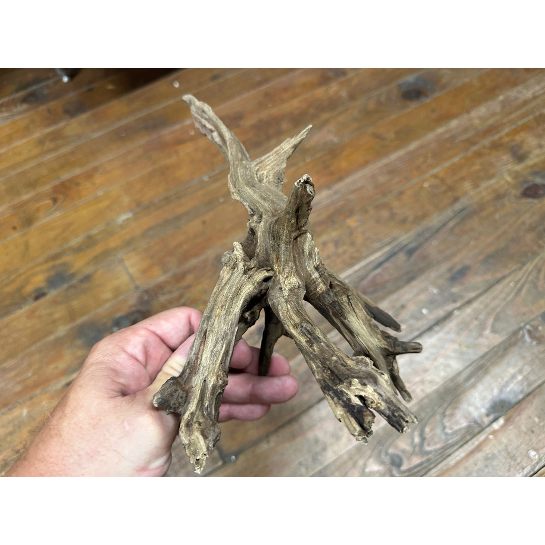 Black Spider Wood 8"-14"