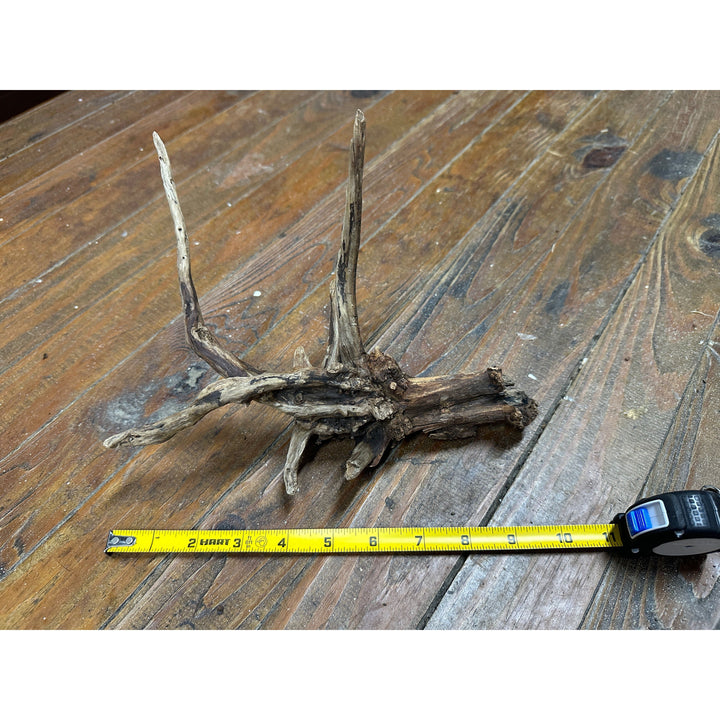 Black Spider Wood 8"-14"