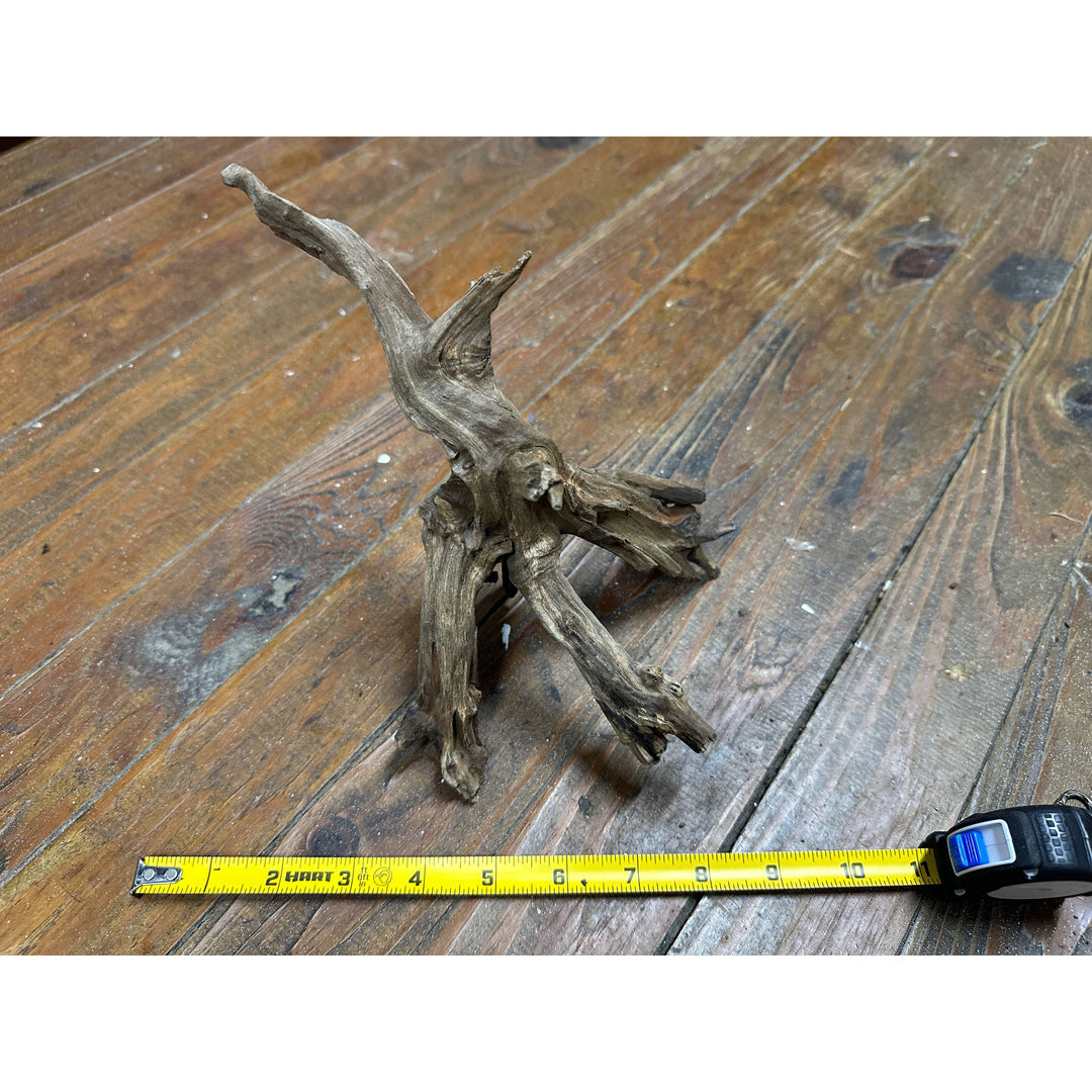 Black Spider Wood 8"-14"
