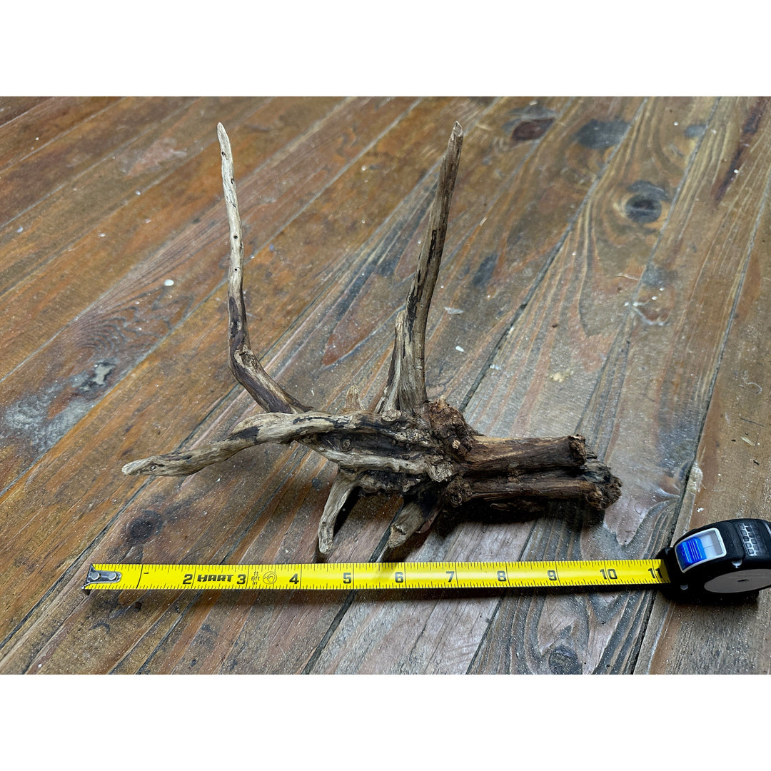 Black Spider Wood 8"-14"
