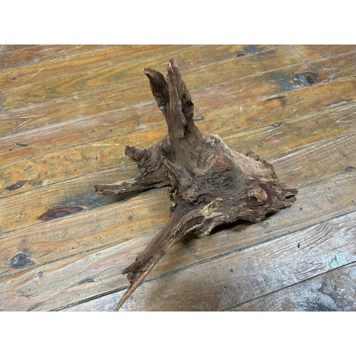 Malaysian Driftwood 11"-15"