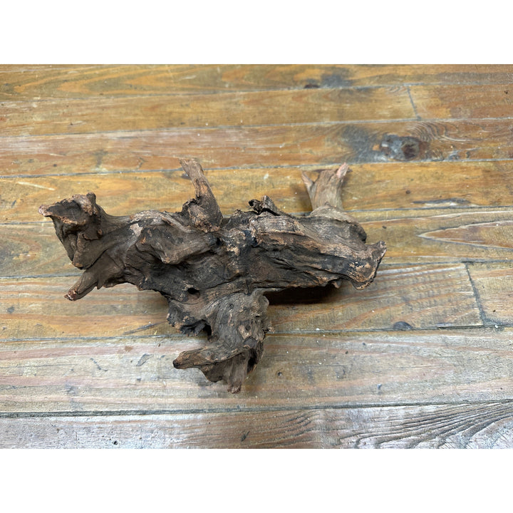 Malaysian Driftwood 11"-15"