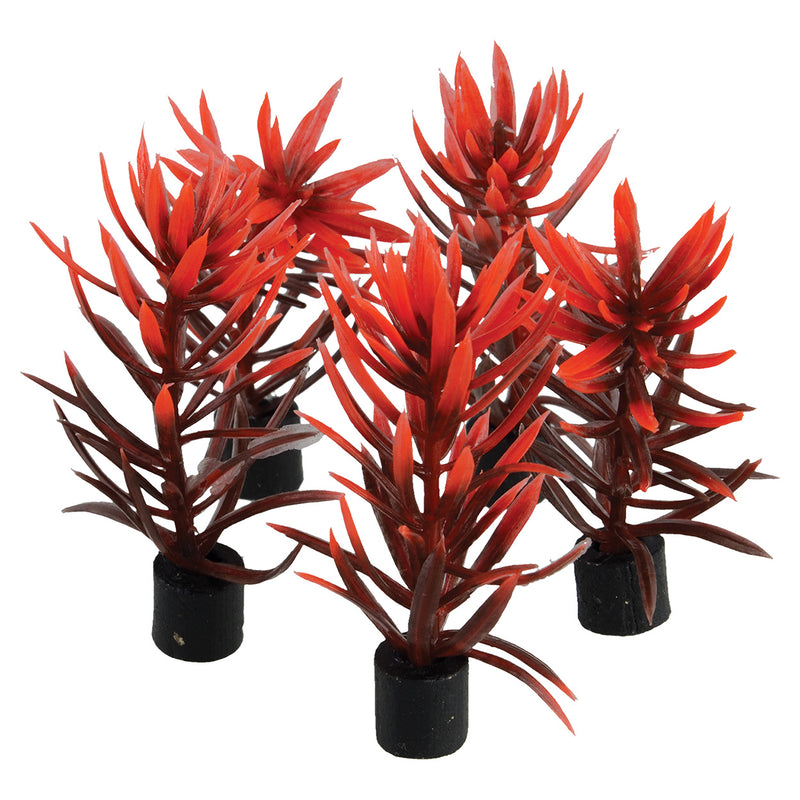 Mini Plant Red/Brown (5 pack)