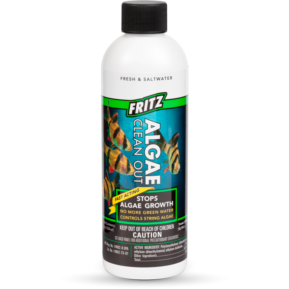 Fritz Algae Clean Out