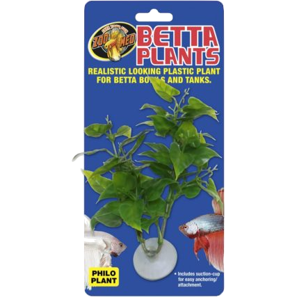 Betta Plant Philo with suction cup