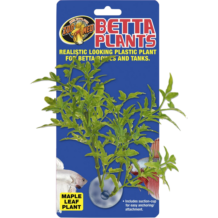 Betta Plant Maple Leaf with suction cup