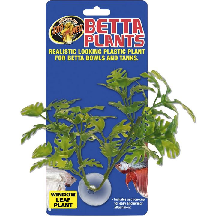 Betta Plant Window Leaf with suction cup