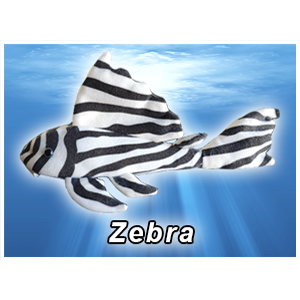 Zebra Pleco Plush! - KGTropicals