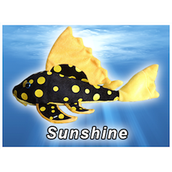 Sunshine Pleco Plush! - KGTropicals