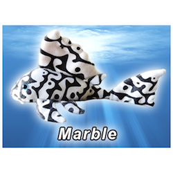 Marble Pleco Plush! - KGTropicals
