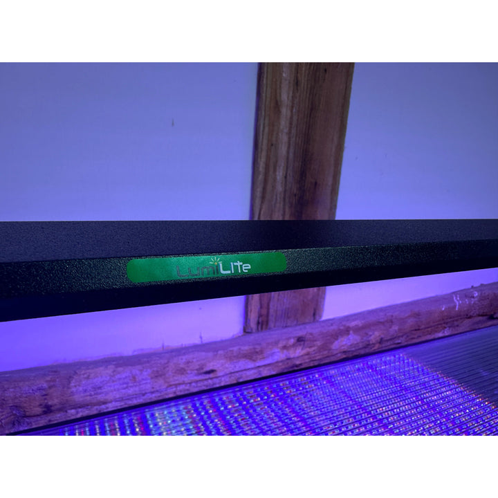 Lumi Lite PRO LED