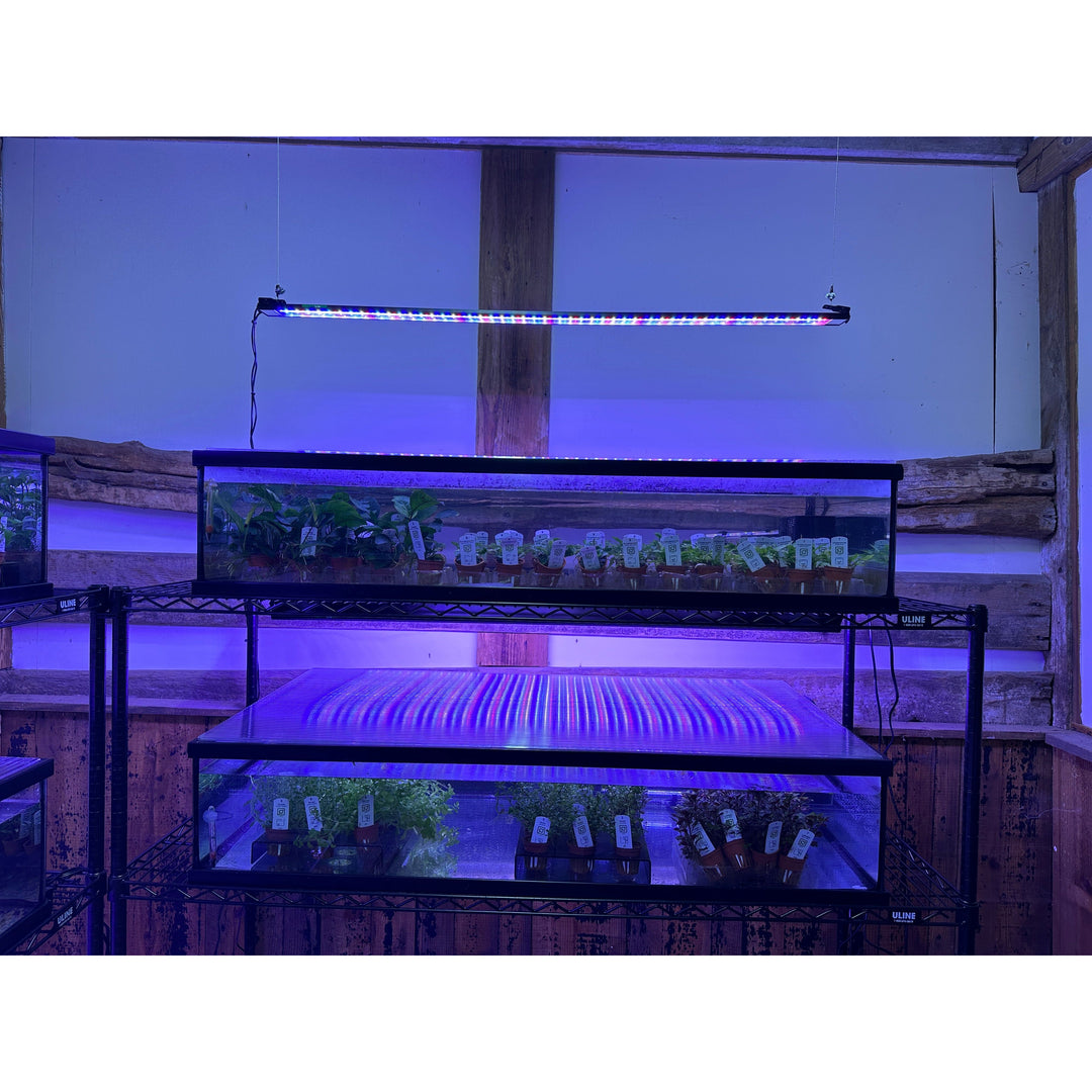 Lumi Lite PRO LED