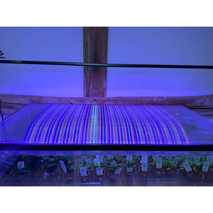 Lumi Lite PRO LED