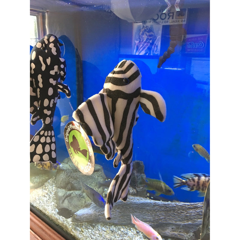 Zebra Pleco Plush! - KGTropicals