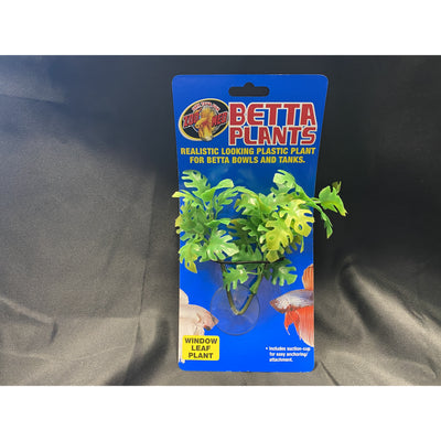 Betta Plant Window Leaf with suction cup