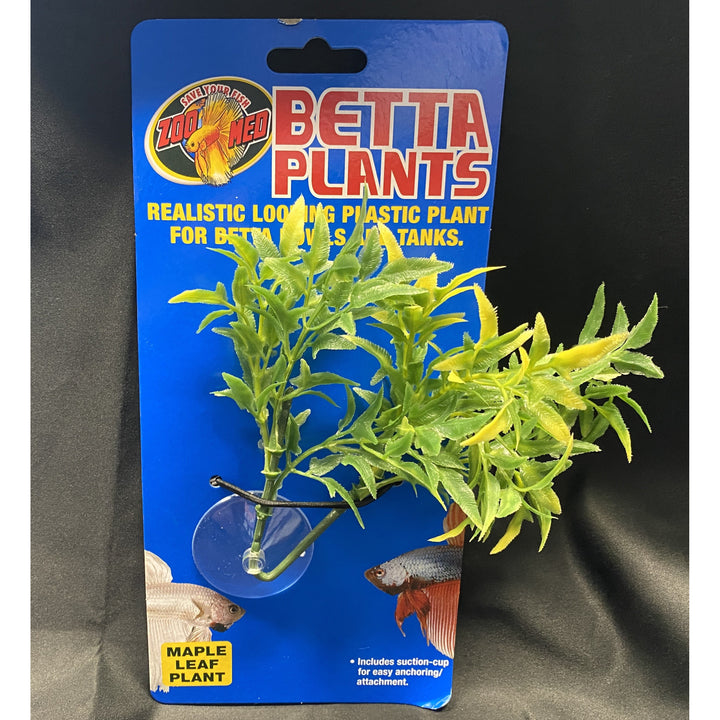 Betta Plant Maple Leaf with suction cup