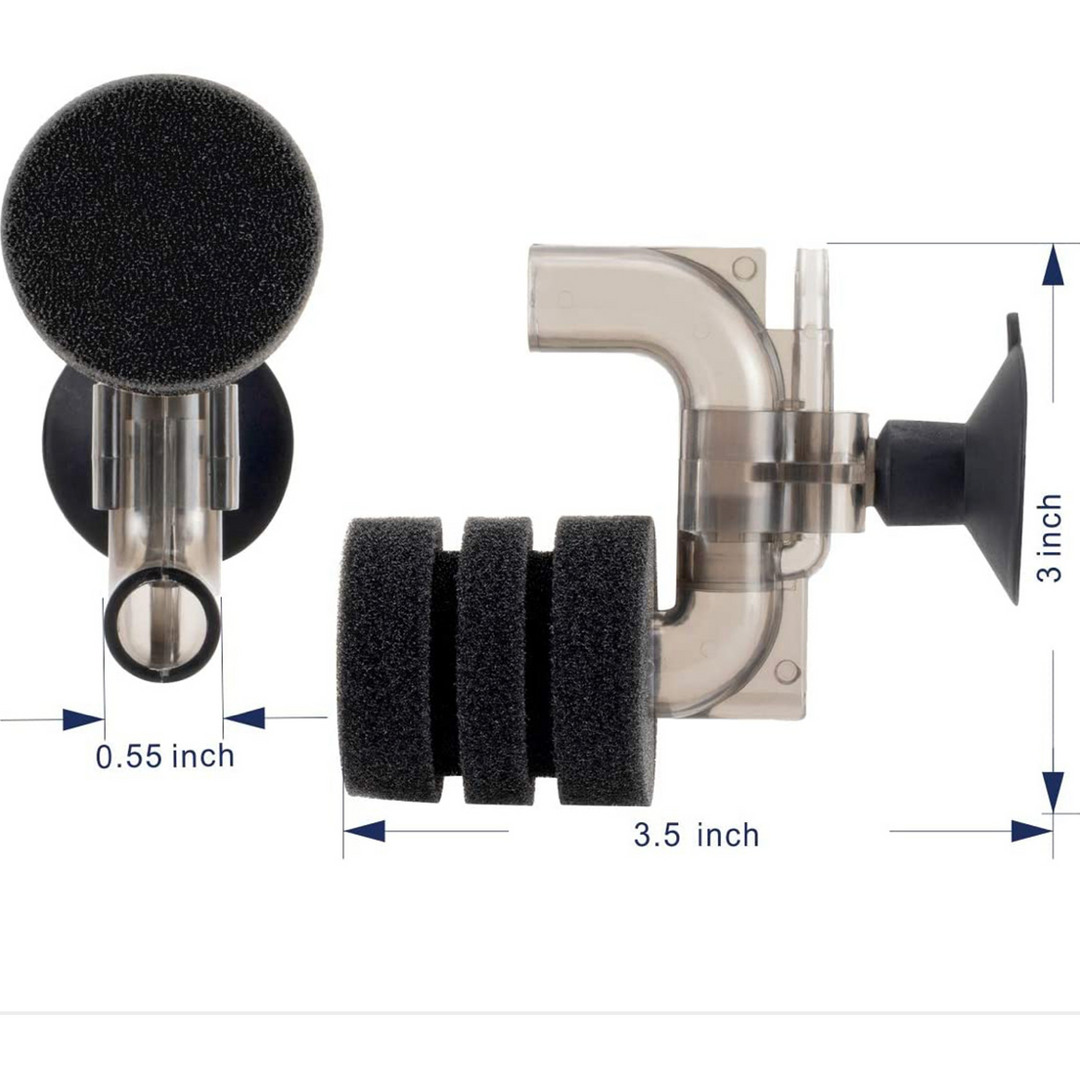 Nano Sponge Filter (Glass Mounting)