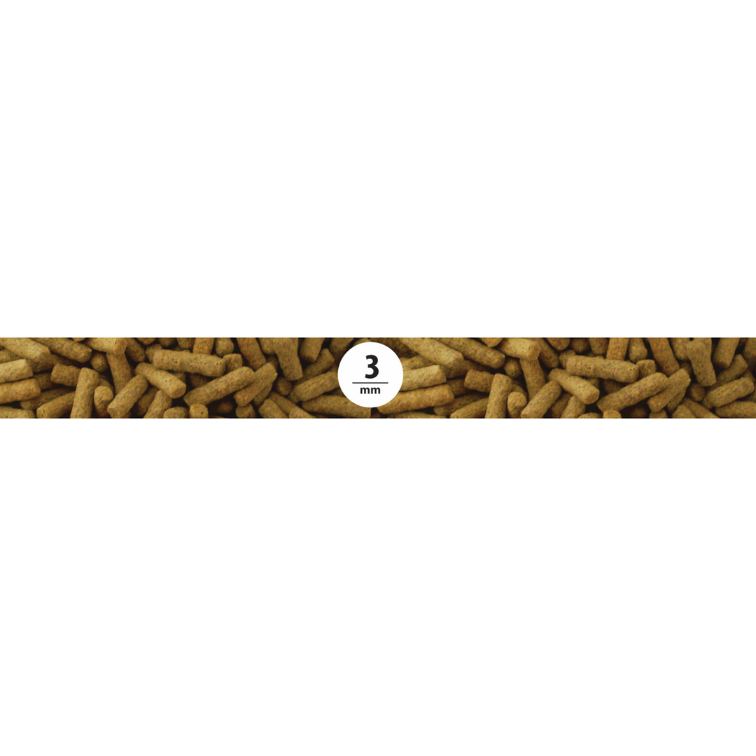 Northfin Tropical Sticks 3mm
