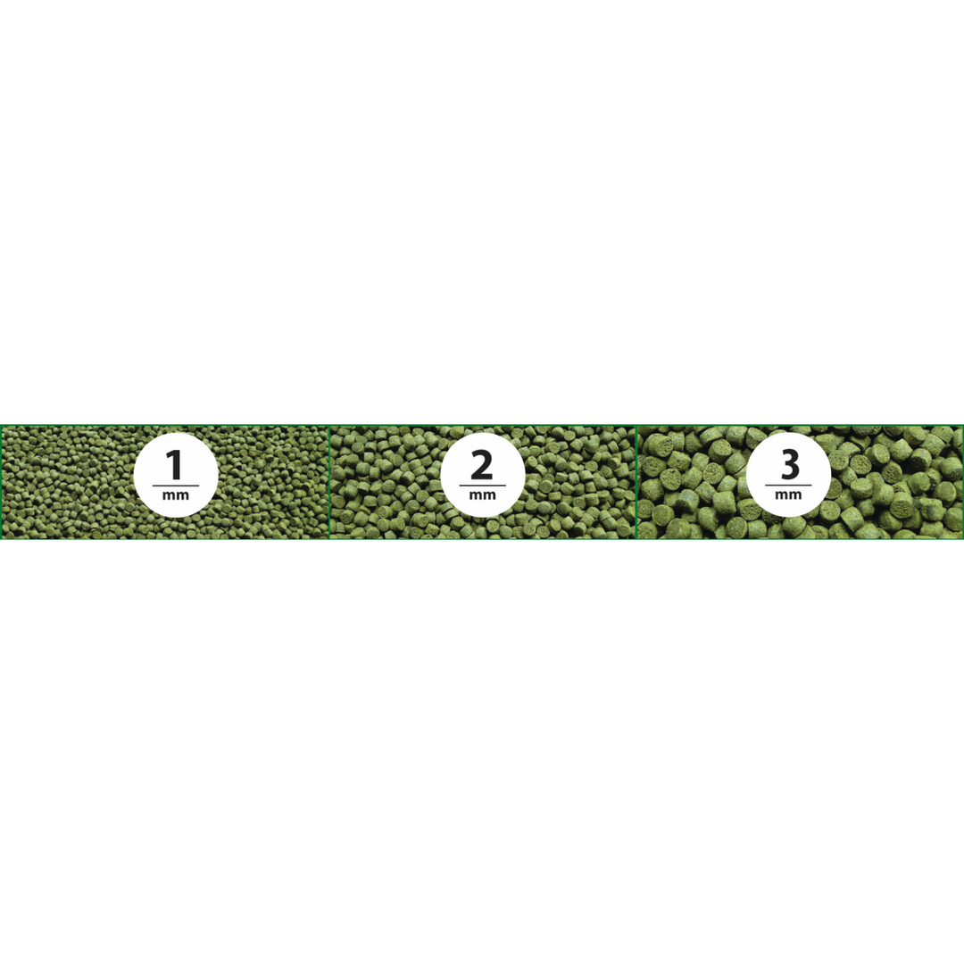 Northfin Veggie Formula