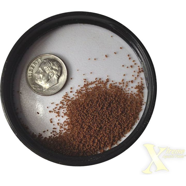 Xtreme Nano and Fry Food